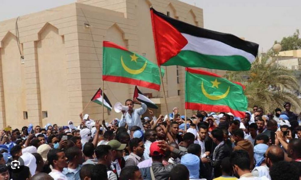 مظاهرة تطالب بإيصال الإمدادات إلى غزة في موريتانيا