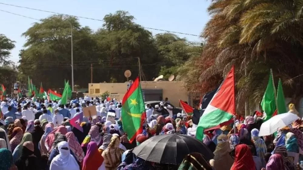 وفي مسيرة مؤيدة لغزة في نواكشوط، توقفت الهتافات من أجل بث تصريحات أبو عبيدة.