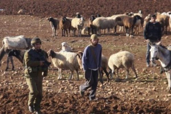 gazapress