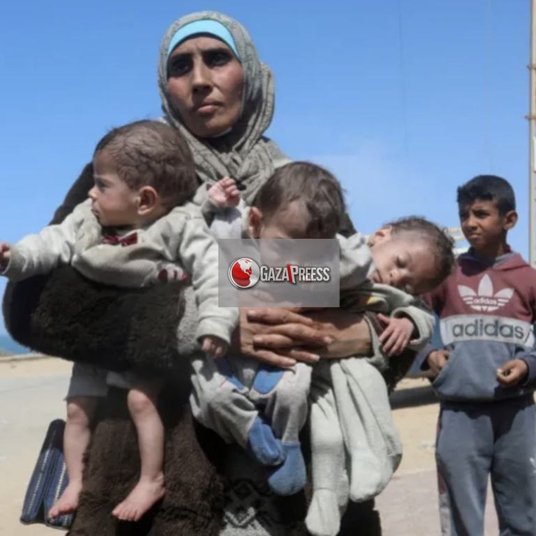 GazaPress News  (1)