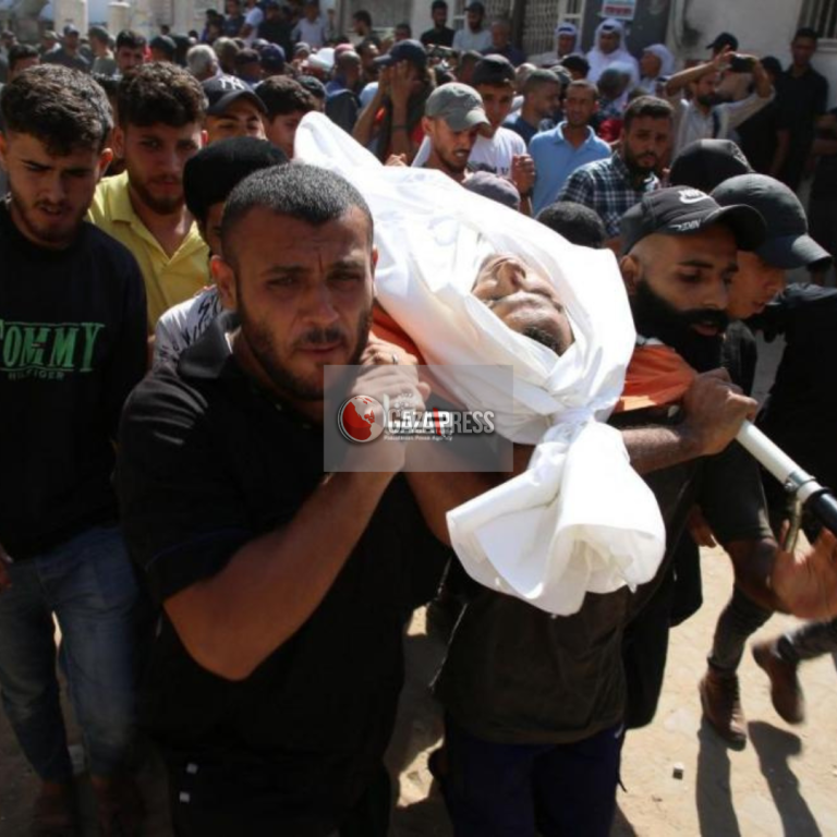 GazaPress News  (13)