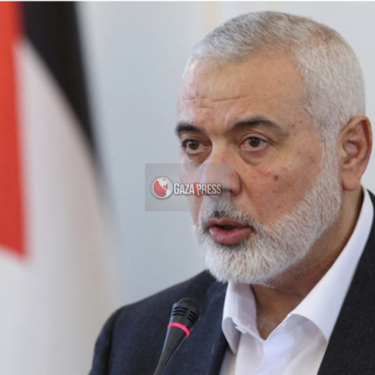 GazaPress News  (14)