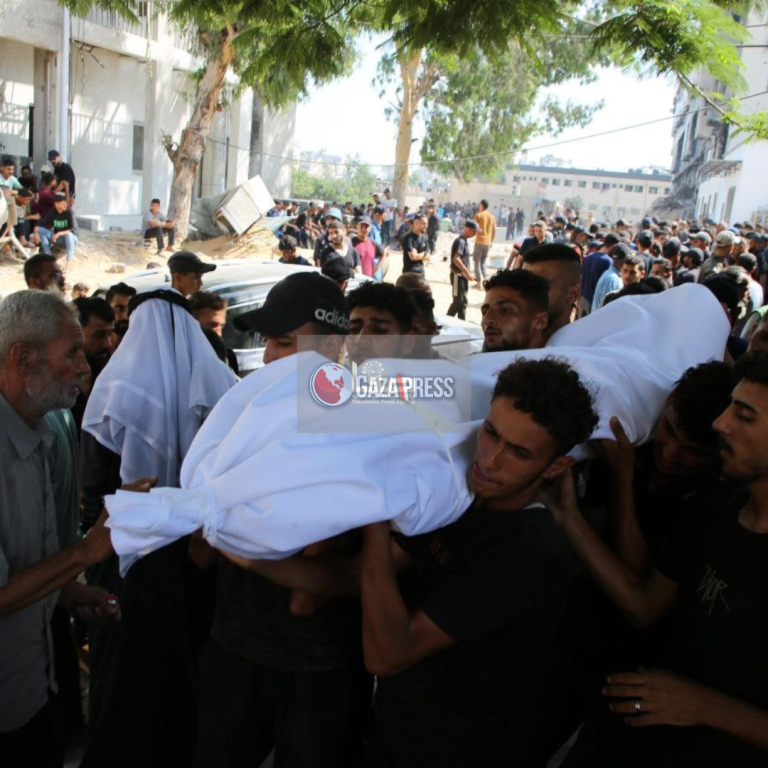 GazaPress News  (15)
