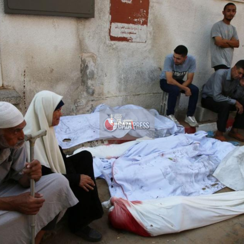 GazaPress News
- تطورات "طوفان الأقصى" والعدوان الإسرائيلي على غزة 26 يوليو