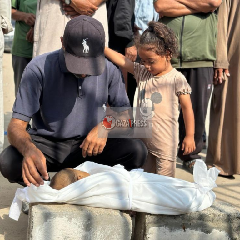GazaPress News