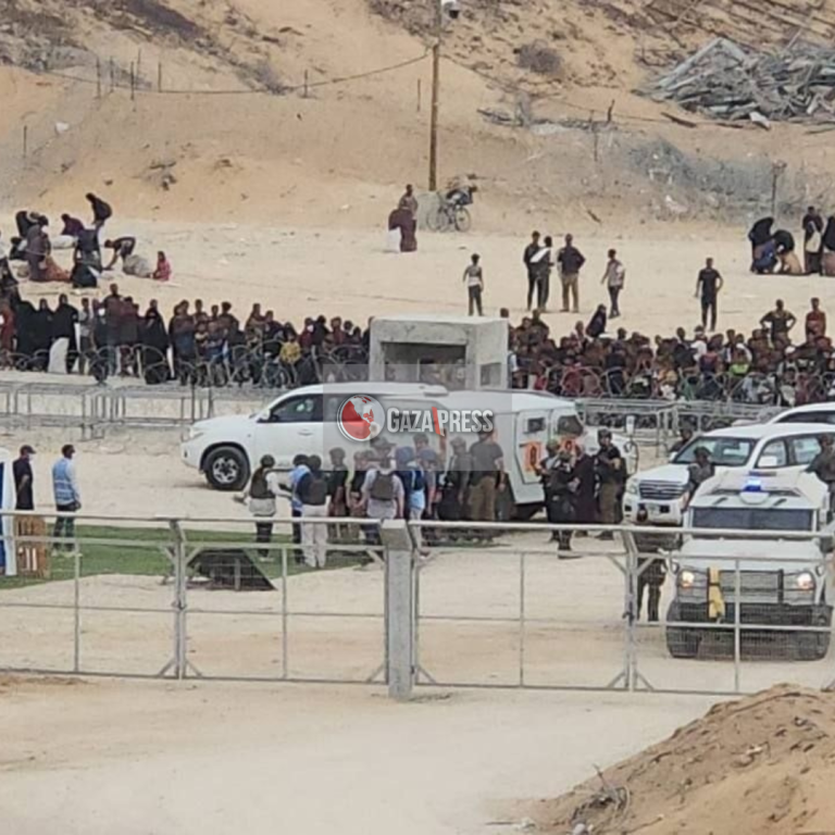 GazaPress News  (16)