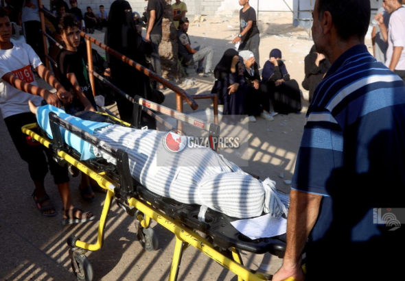GazaPress News  (17)