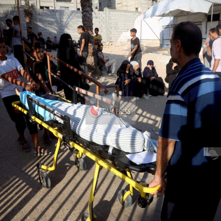 GazaPress News  (17)
