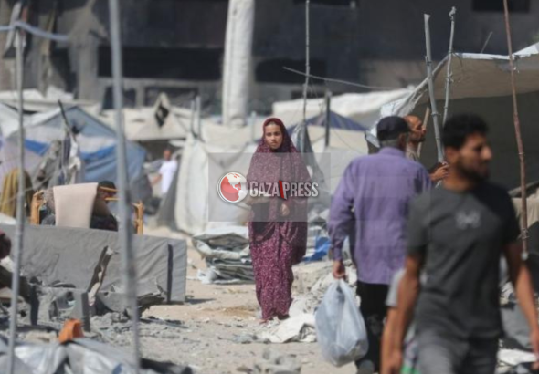 GazaPress News  (4)