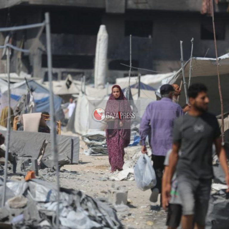 GazaPress News  (4)