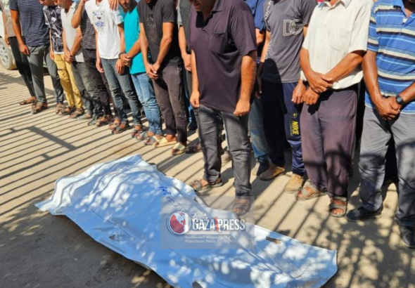 GazaPress News  (8)
