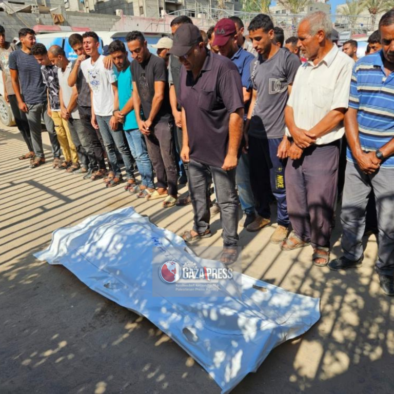 GazaPress News  (8)